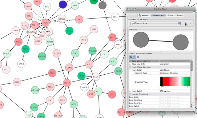 cytoscape supported file type